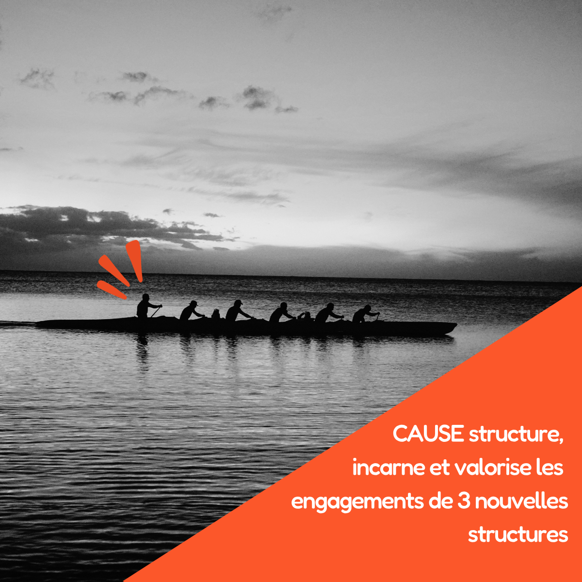 CAUSE structure, incarne et valorise les engagements de 3 nouvelles structures
