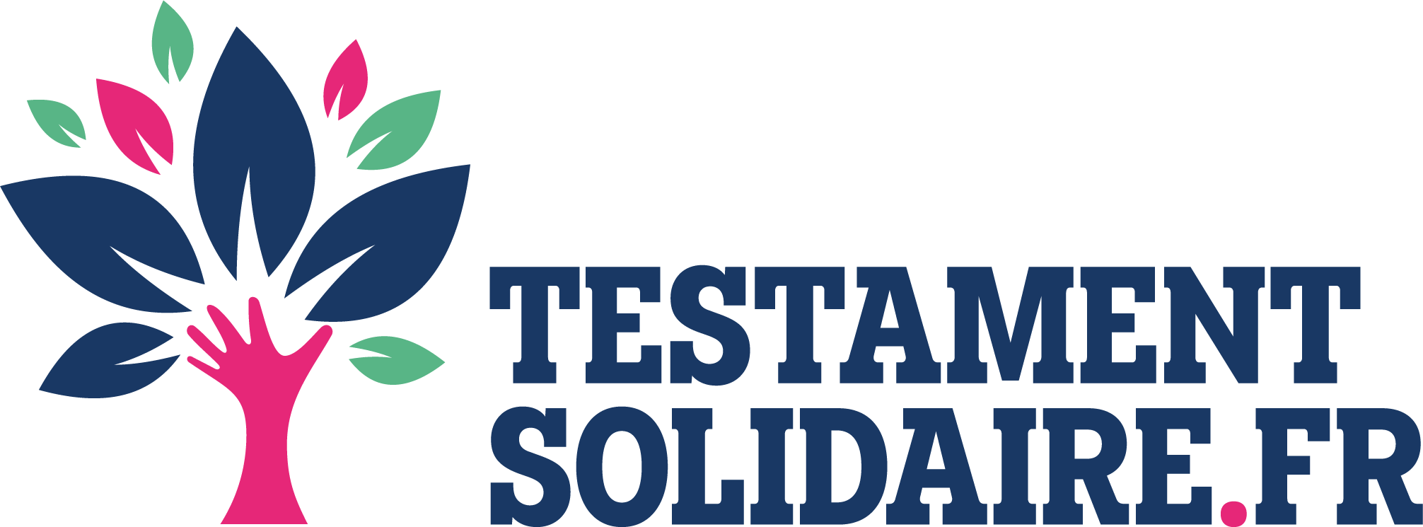 Logo-TS.fr_