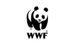 wwf redim