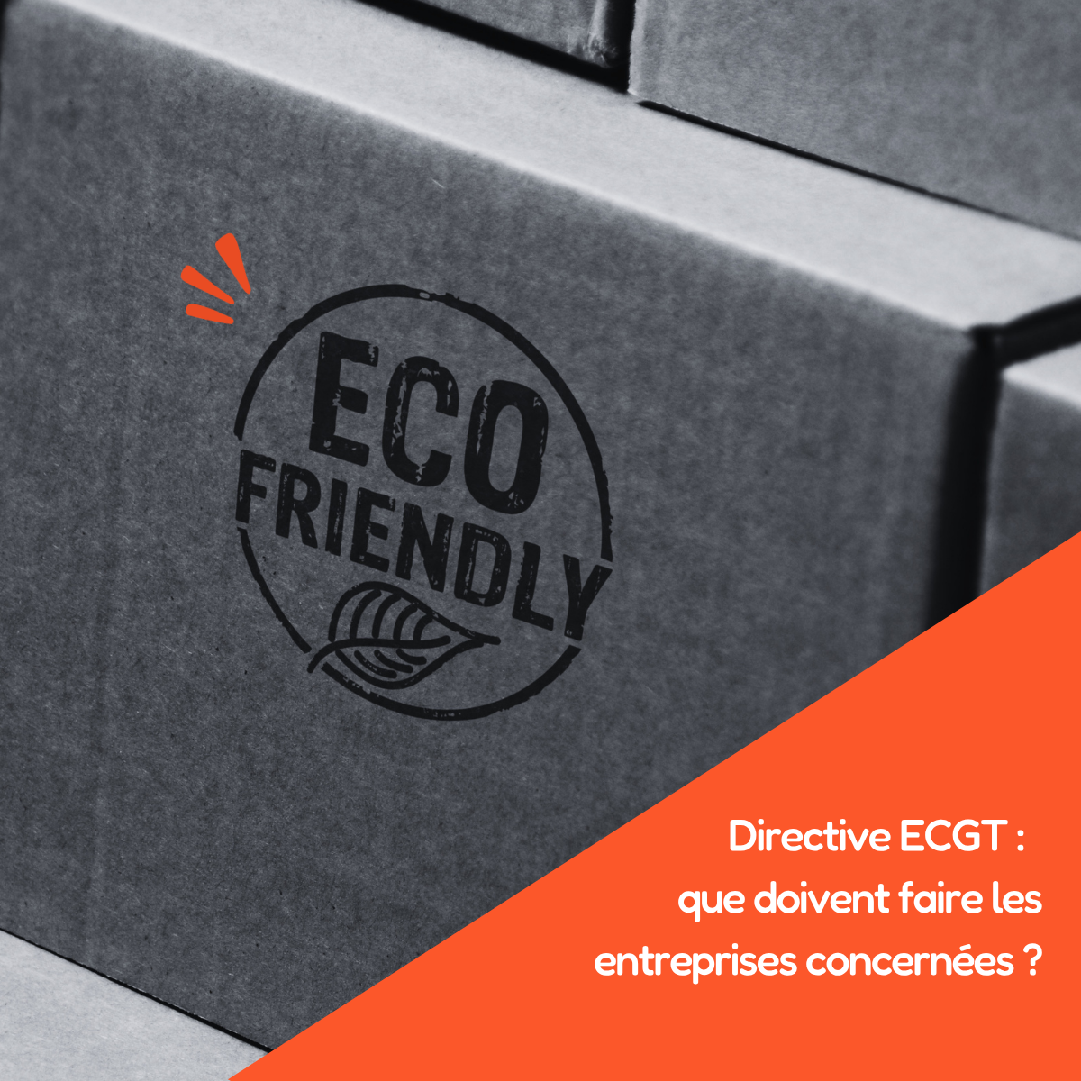 Directive ECGT 2026 : que doivent faire les entreprises concernées ?